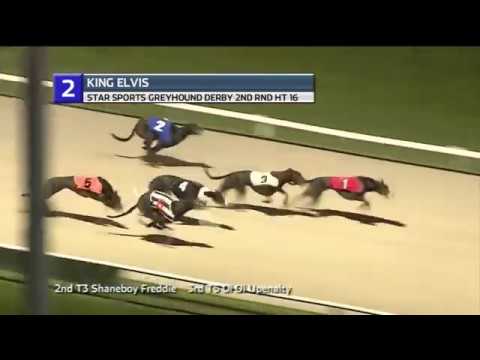 2018 STAR SPORTS DERBY - ROUND 2 HEAT 16 - T1 KING ELVIS
