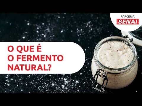 O que é o fermento natural, e como fazer levain do zero.  – CANAL SENAI-PADACON
