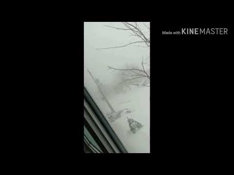 Challenge to NASA 🇨🇦🇨🇦🇨🇦🇨🇦 Kambi Rajupur