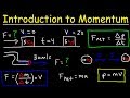 Introduction To Momentum Force Newton S Second Law Conservation Of Linear Momentum Physics