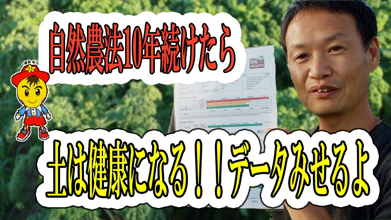自然栽培で育てるタマネギのポイントと連作12年の土壌データ