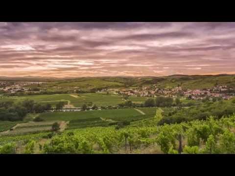 Weingut Jurtschitsch Image Video