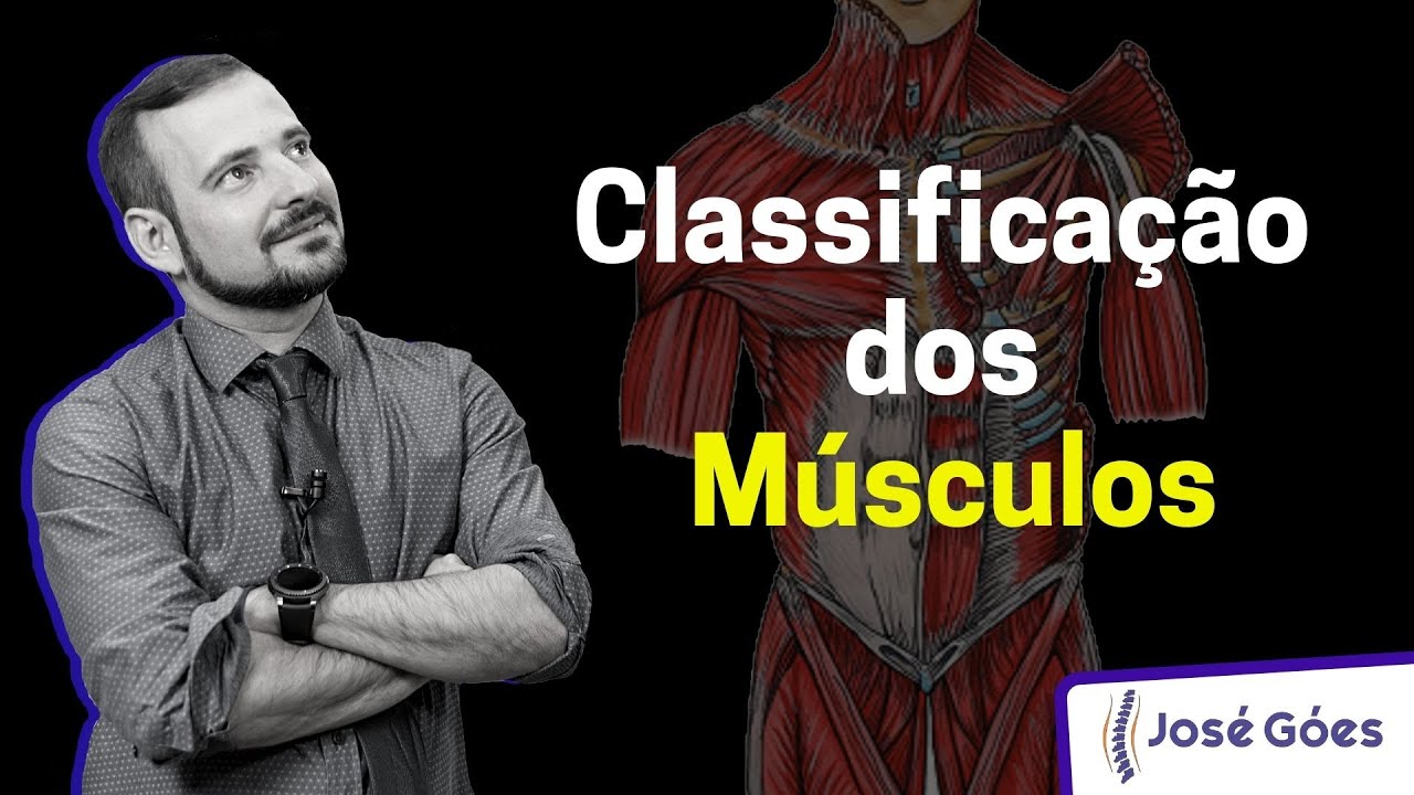 Classificação dos Músculos | José Góes