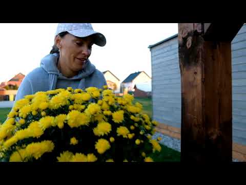 Liptovalley - Liptovská Kokava 4