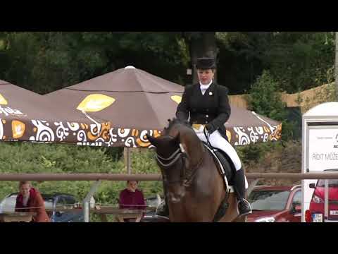 Starší junioři – Nedělní soutěže při mistrovství ČR 2019 v drezuře Královice u Slaného