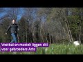 Voetbal en muziek liggen stil in Groesbeek voor de gebroeders Arts