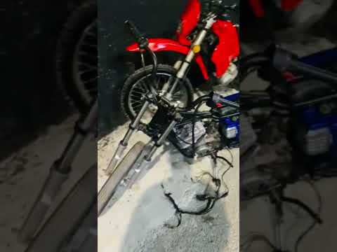 @Treintisiete @dilonbaby #rd #2023 @elbongord9050 #dembow2023