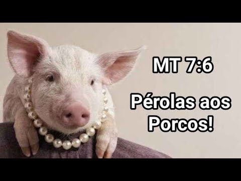 Não jogue suas pérolas aos Porcos! Mateus 7:6