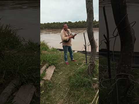 bermejo localidad de villa escolar formosa