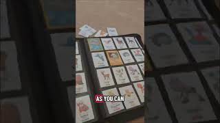 We are trying to complete our Pokédex challenge! #pokemon #pokemomcards #myteamforscarletandviolet