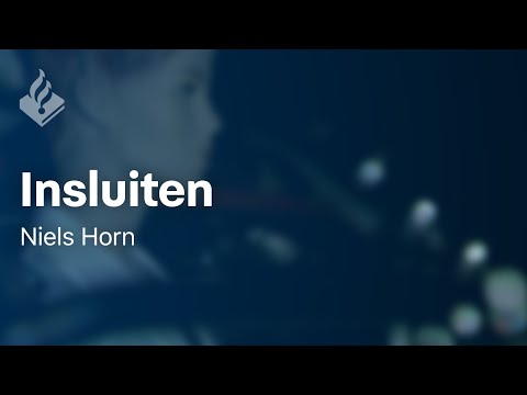 'Insluiten' - door Niels Horn -  Politieverhaal in beeld