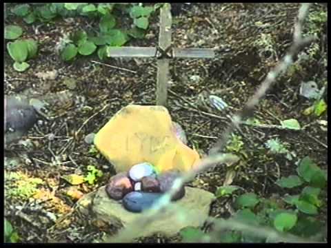 Rum Jungle Demo Reel