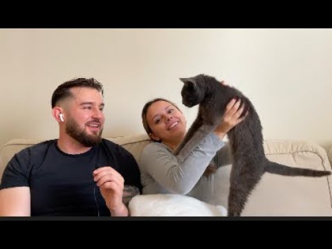 NYC Couple Reacts To Country Music (Tim McGraw- 7500 OBO)