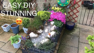 Alpine Water feature Flowers & Plants Waterfall. Easy DIY stunning and tranquil.
