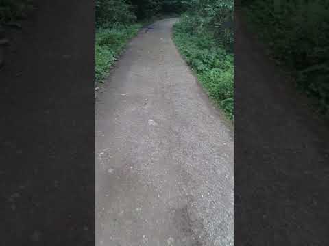 Cel mai grozav challenge montan pana la Mofeta si inapoi part 2(episod bonus)