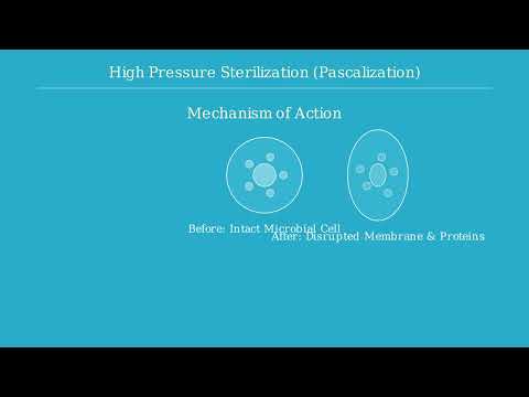 Physical Methods of Sterilization - Video
