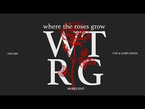 Tiscore - Where The Roses Grow (VIZE & NOØN Remix) [Moriis Edit]