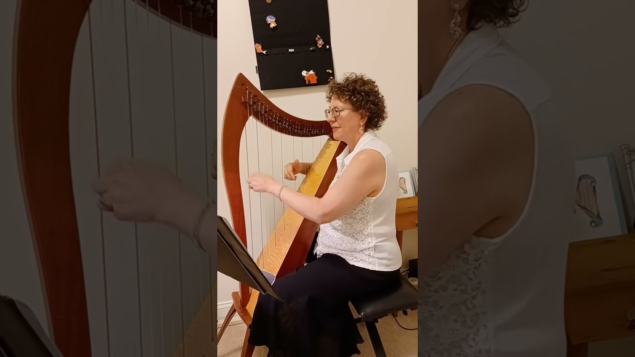 Promotional video thumbnail 4 for Harpist-Miriam Shilling