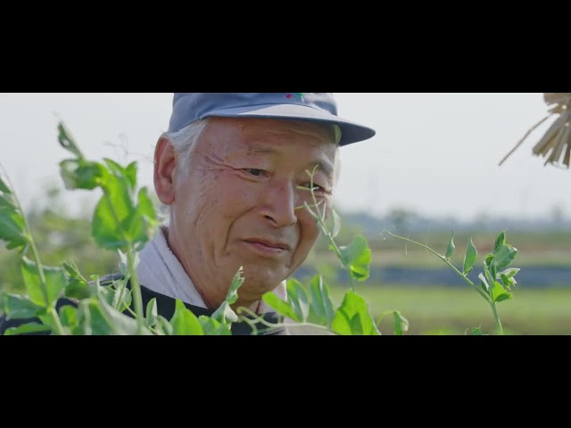 世界が恋するレストラン　LaBOMBANCE環水公園