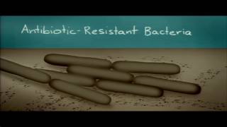 9. Periodic Table; Ionic and Covalent Bonds