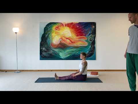 Ardha Matsyendrasana - halber Drehsitz Anleitung und Hilfsangebote