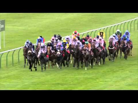 2013 Betfred Cesarewitch - Scatter Dice