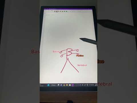 Learn the #circleofwillis with me in under 60s! #shorts #medstudent #anatomy #anatomynote #medschool