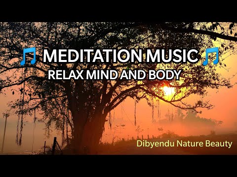 MEDITATION MUSIC  / RELAXING MUSIC and TRESS RELIEF MUSIC ...