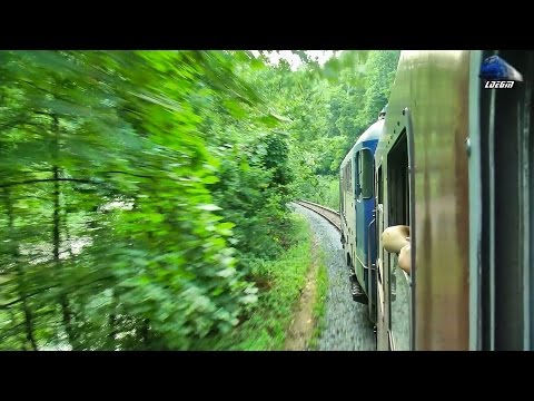 Calatorie pe Ruta/Ride on Suncuius - Vadu Crisului Route cu/with DA 62-0891-2 & R3075 23 July 2015