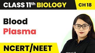 Blood (Plasma) - Body Fluids And Circulation | Class 11 Biology/NEET-AIIMS