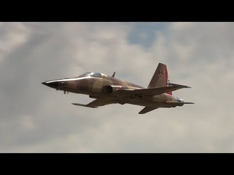 RC F-5 Tiger - Jets Over Czech 2018
