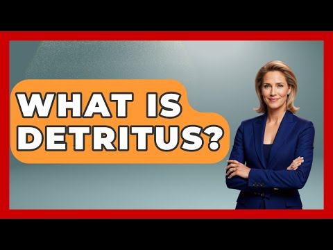 What Is Detritus? - Exploring Campgrounds