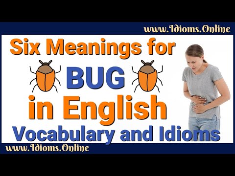 Six Meanings for BUG in English | Vocabulary and Idioms