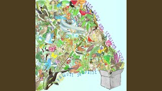 Tidal Pool