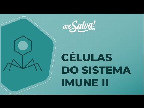 Células do Sistema Imune II - Imunologia - Me Salva! Saúde