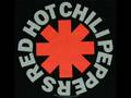 By the Way Lyrics - Red Hot Chili Peppers 