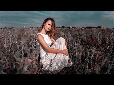 Sleepy Chows - This Ain't Love