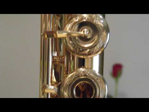 @ionbogdanstefanescu  Telemann - Sonata for two flutes VII