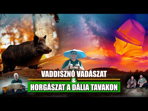 Vadkaland (23.rész) - VADDISZNÓ VADÁSZAT ÉS HORGÁSZAT A DÁLIA TAVAKON