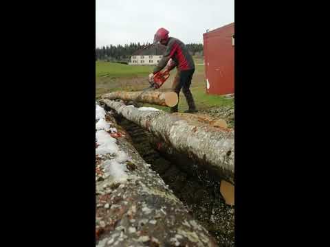 affûtage lime plate / square filing