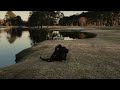 Yvngxchris LONELY Official Music Video Teaser