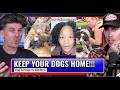Bringing Your Dog Everywhere Culture Has To End.