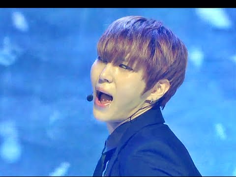 VIXX - Error, 빅스 - 에러, Show Champion 20141126