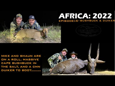 Episode 4: Hunting South Africa 2022 - Cape Bushbuck and Common Duiker