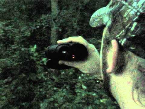 Bushnell Digital 3x32mm NV Monocular