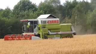 preview picture of video 'Żniwa 2014 Na Podlasiu New Holland Claas Zetor'