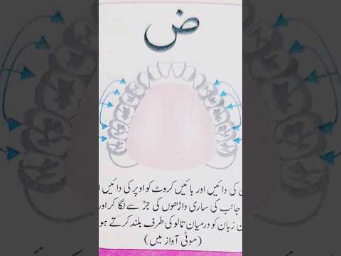Zaud (ض) Ka Makhraj | Asan Tajweed #tajweed #makhraj #viral #shortvideos #ytshorts #nooraniqaida
