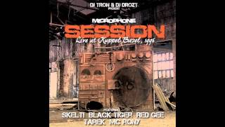 DJTron & DJDrozt feat. Skelt!,BlackTiger,Red Gee,Tarek,MC Rony - Live in Basel (1996)