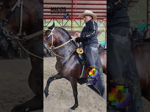 SAN SEBASTIÁN CAUCA COLOMBIA