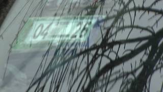 City of Chicago overcharged residents for city stickers, other parking violations for years: judge